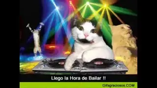 CORAZ&Oacute;N EMBUSTERO-KARAOKE