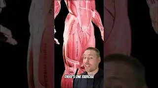 The TRUTH About Bad Knees!