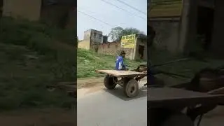 No Horn Please ! #trending #viral #shortvideo #shortsvideo #shorts #short