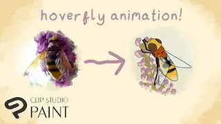 Natural History animation in Clip Studio Paint - animating a hoverfly