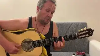 Sound Test of Savarez Tomatito Flamenco Strings on Classical Guitar