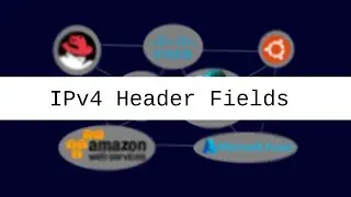 IPv4 Header Fields