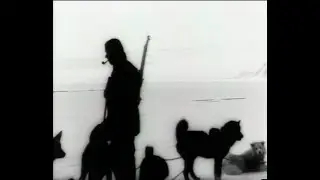 Tiedemanns naturfilm: Helge Ingstads Grønlandsekspedisjon 1932-33