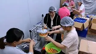 Semi automatic soap wrapping machine hotel soaps wrapper