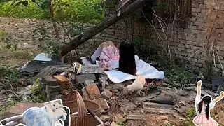 【野生小希】户外合集！我和小布的发家史，感天动地！#jk #美食 #自然 #宠物 #生存