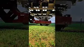 Laser Weed Control Machine Targeting Parasite Plants in Farming Field #farming
