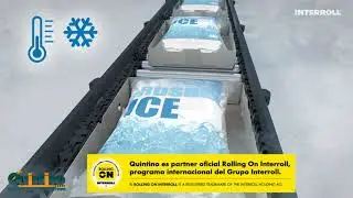 Equipamiento transportador modular para productos en entornos Congelados de hasta -30&deg; MCP Interroll