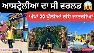 Sea world, Gold Coast Vlog | Punjabi exploring Australia 🇦🇺 | Bitesandbackpacks