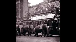 Brighton Hippodrome History