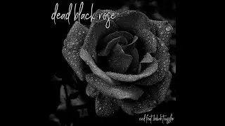 Dead Black Rose (feat. Bekah Trussler)