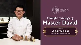 Thought Catalogs of Master David: Agarwood &mdash; Major Yang, The Wearable Advantage