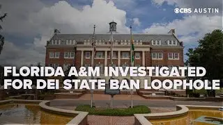 Investigation alleges Florida A&M renamed, not removed, DEI programs despite state ban