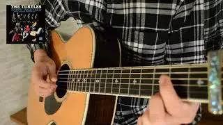 The Turtles - Happy Together (Acoustic Cover)