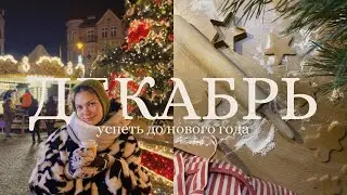 Vlog 27 / важные дела перед новым годом: пряники, елка и рождественские ярмарки в Европе