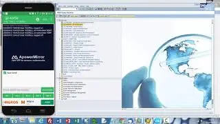 Testing SAP EWM connection to a TCP server app on Android