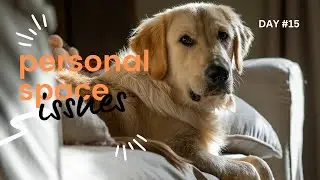 😀Funny Journal Of Cats And Dogs #Day15