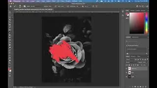 Photoshop: Brushes, Clipping Masks, and Blend Modes