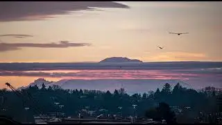 Mount Rainier