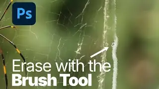 👍 MASTERY: How to Erase with the 