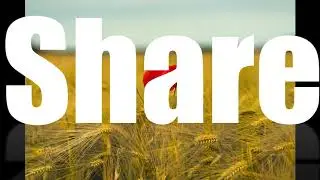 #NoCopyRightMusic|Alimar|Nature|The video music House|
