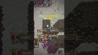 JAKA KLASA POSTACI NA START W TIBII?! 🔥✋ #tibia #gaming #lifestyle