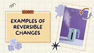 Reversible Changes