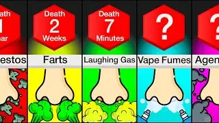 Comparison: How Long Could You Survive If You Breathed ___?