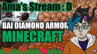 Minecraft making a bad farm and stuff. Also kitty cam is back