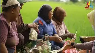 VLOG KERAGAMAN DESA KUBANGSARI SAEFUL AKBAR