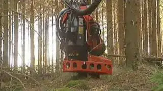 A presentation of SP 451 LF - a big little harvester head.