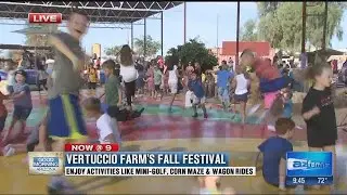 Family Fun at Vertuccio Farm's Fall Festival (Part 2)