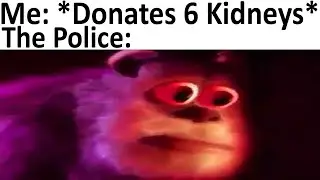 Daily Meme Supplies 316