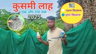 कुसमी लाह की दवा 2025 | पहला छिड़काव एक नया दवा 🐛 Kisan Jharkhand Tv 