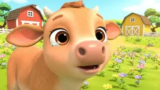 The Crying Baby Calf Lost the Music Box | Funny Toddler Song | Kids Rhymes