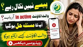 BISP Wallet Inactive Issue Resolved | BISP wallet inactive issue | Wallet inactive issue resolve