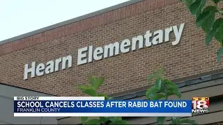 School Cancels Classes After Rabid Bat Found