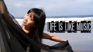 Hi-View Crew - Life Is Like Music