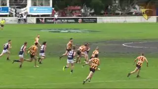 Box Hill Hawks: Grand Final (Development League Highlights)