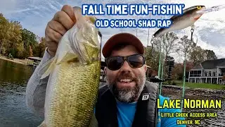 Ловля окуня на стайную приманку Rapala Shad Rap &ndash; озеро Норман, район доступа Литл-Крик