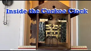 Inside the Cuckoo Clock there is something to think about... #cuckoo #cuckooclock #clock #dongho