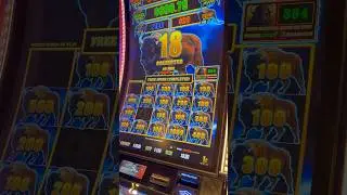 nice bonus round on Buffalo lightning link slot machine. #slots #casino #slotmachine #viralvideo