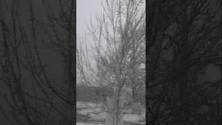 snowing #USA#viralvideo #hindisong 🌨️🌨️🌨️🌨️❄️❄️❄️