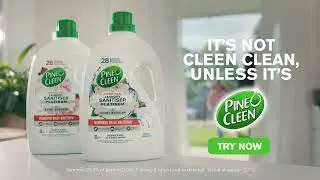 Pine O Cleen Germs 6s