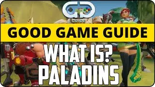 What Is Paladins? | GG Guide