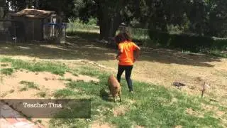 Teacher Tina VIP KID