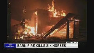 6 horses killed in extra-alarm barn fire in Harvard