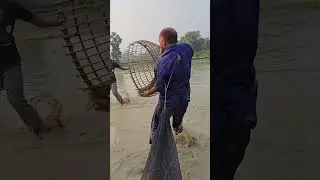 Wow! Amazing Polo Fishing Videos ! Best Big Fish Catching ! Primitive Technique fishing #fish #india