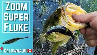Super Fluke 5