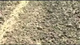 Ротационный культиватор Shaktiman Rotavator