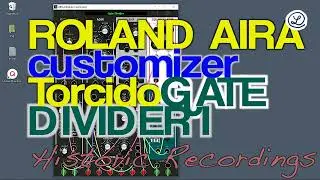 Roland AIRA Modular Customizer // GATE DIVIDER 1 // No Talking